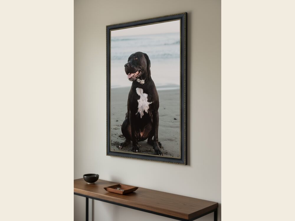 A framed print of a black dog on a beach, hanging on a wall